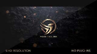 Gold Logo Reveal-44378516