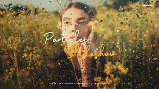 Original Particles Slideshow-44603942