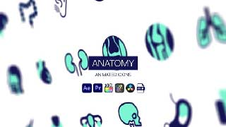 Anatomy Animated Icons-Human Body Medical Motion Icons Animation Pack-44950428