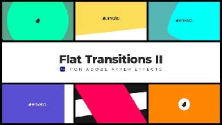 Flat Transitions II-45607588