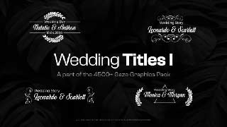 Elegant Wedding Titles-47686653