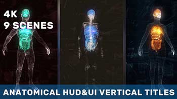 Anatomical Vertical HUD UI Titles-36051112