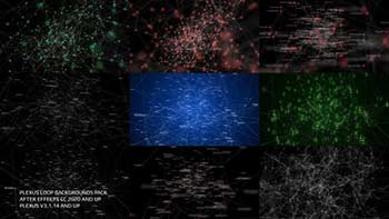 Plexus Loop Backgrounds Pack-36837186