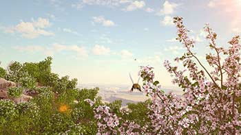 Spring Forest Nature Logo-31875173