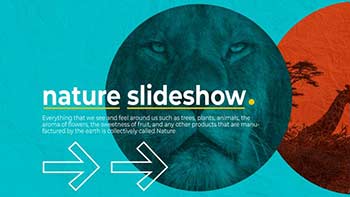 Wild Nature Slideshow-37277488