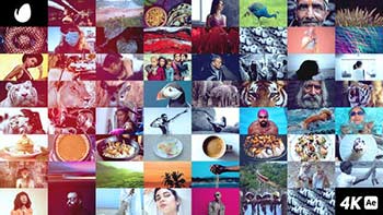 Mosaic Photo Wall-37369295