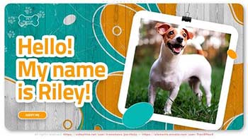 My Lovely Pet-37910354