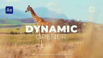 Dynamic Stomp Opener-38748536