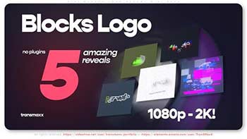 5in1 Blocks Logo Reveal Mini Pack-38942557