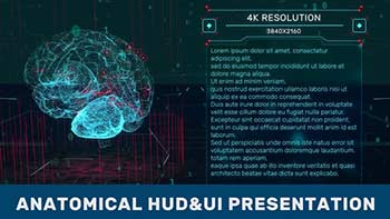Anatomical HUD UI Presentation-38990188