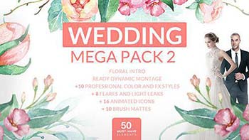 پروژه افترافکت Wedding Mega-12701122