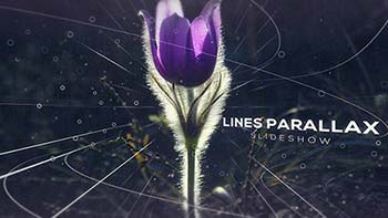 افترافکت Lines Parallax-19209185