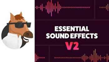 Mister Horse Essential Sound Effects V2-3263