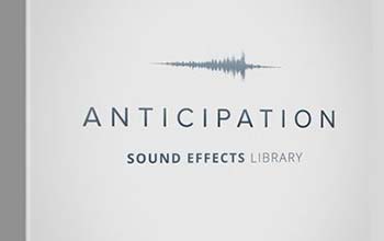 Anticipation SFX bundle-851763006