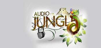 AudioJungle Pack 10-1