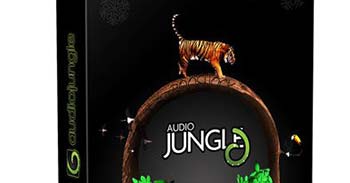 AudioJungle Pack 11-1