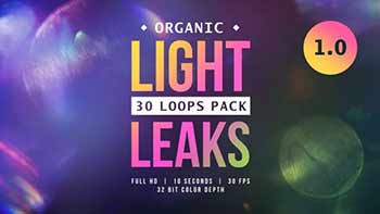Organic Light Leaks-24079300