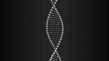 Spinning DNA Molecule-24631848
