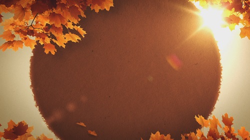 فوتیج Warm Autumn-1027