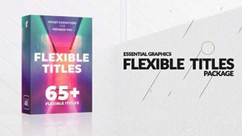Flexible Titles Package-136469