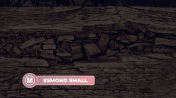 Elegant Lower Thirds-207905