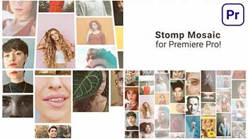 Mosaic Stomp Multi Photo Logo-31535403