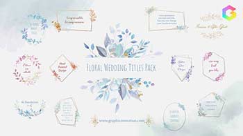 Floral Watercolour Wedding Titles Pack-33962121