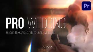 Pro Wedding Bundle for Premiere Pro Transitions Titles LUTs Overlays-57212922