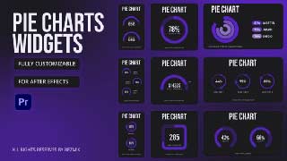 Pie Charts Widgets MOGRT-60092473