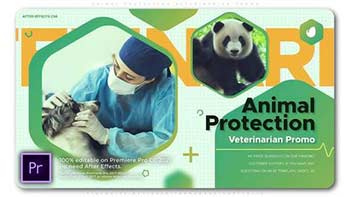Animal Protection Veterinarian Promo-34511160